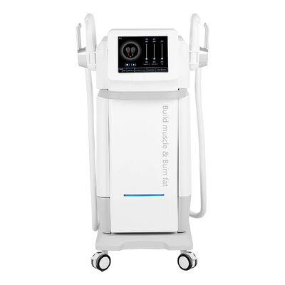 Bon prix 2 poignées 13Tesla exercices du plancher pelvien Le corps sculptant 5000W machine Ems en ligne