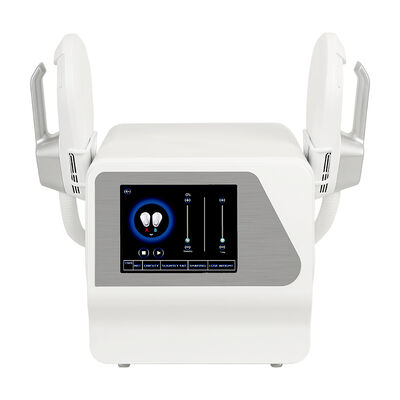 Bon prix La machine de stimulation musculaire électromagnétique portable 7Telsa Ems en ligne