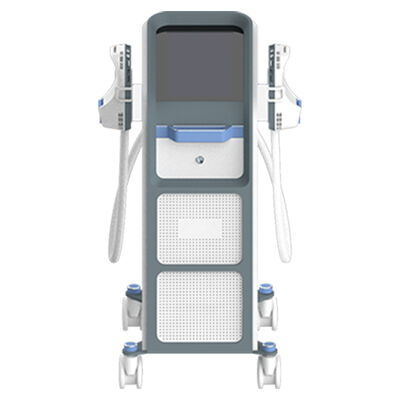 Bon prix Construire des muscles Hi Emt Machine 1-100 Hz Fréquence EMS sur la graisse du ventre en ligne