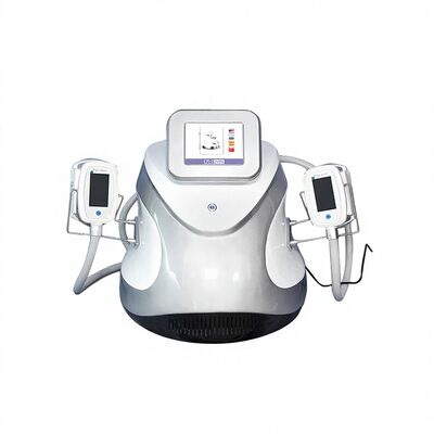 Bon prix 3 Handpieces Cryolipolysis amincissant l'équipement CR02 de beauté de perte de poids de machine en ligne