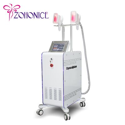 Bon prix 2 poignée variable Cryolipolysis amincissant la machine avec Membrance antigel en ligne