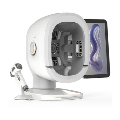 Protections fraîches de la beauté 4 de soulagement de la douleur de machine d'onde de choc de Cryolipolysis Termal SME