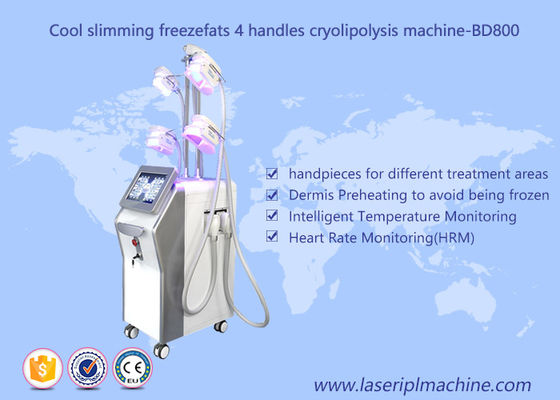 Bon prix Machine de Cryolipolysis de perte de poids de 4 poignées/grosse cavitation de congélation de vide amincissant la machine en ligne