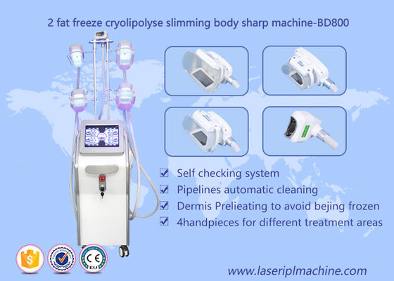 Bon prix Corps Cryolipolysis de forme amincissant la machine, équipement de beauté de Lipo Cryo Cryolipolysis en ligne
