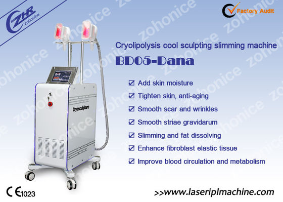 Bon prix 2 poignée variable Cryolipolysis amincissant la machine avec Membrance antigel en ligne