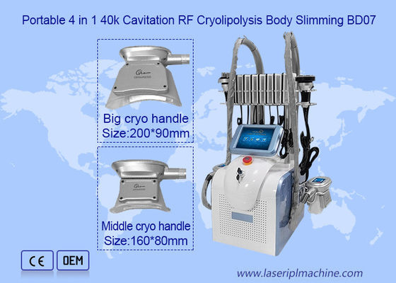 Bon prix 2 poignée 650nm 1mhz Cryolipolysis amincissant la machine en ligne