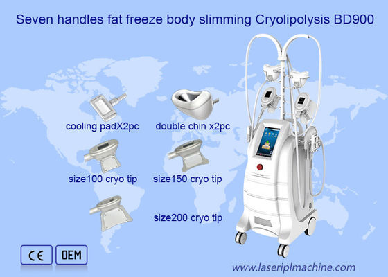 Bon prix Gros double de congélation Chine Removal Cryolipolysis Machine en ligne