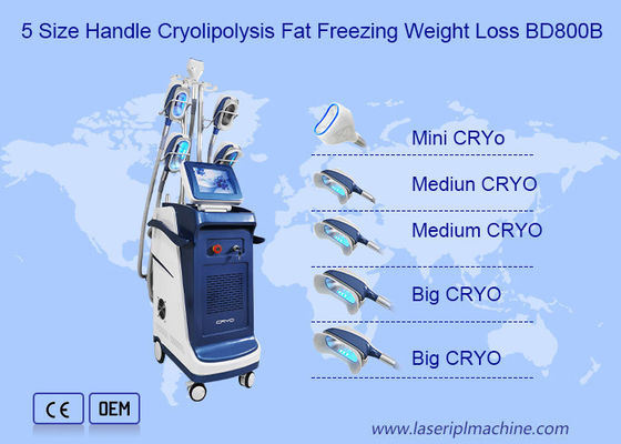 Bon prix Double vertical Chin Cryolipolysis Slimming Machine de 360 angles en ligne