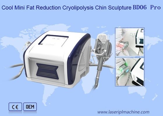 Bon prix machine fraîche de 12V Mini Fat Reduction Cryolipolysis Slimming en ligne