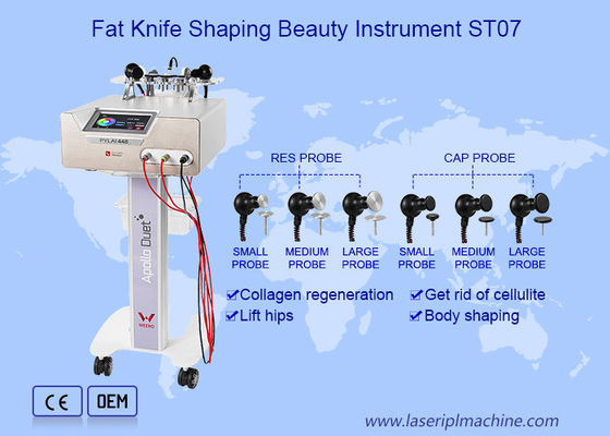 Bon prix Régime portatif fonctionnel multiple de corps d'équipement de beauté de la recherche rf de PAC en ligne